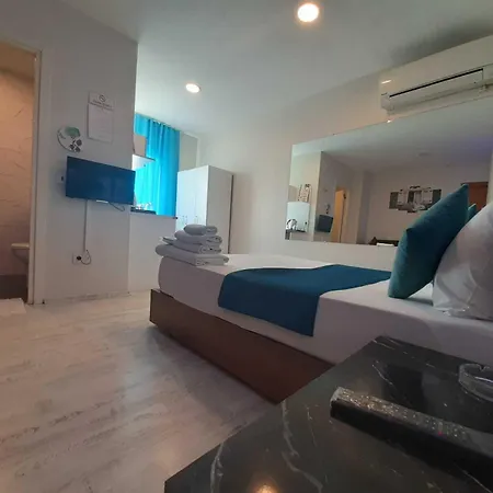 216 Turkuaz 3* اسطنبول