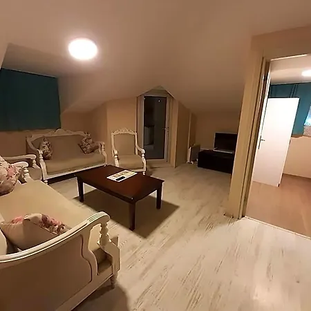 216 Turkuaz 3*